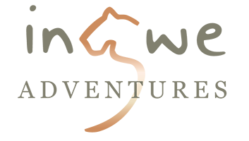 Ingwe Forest Adventures | Team Building, Events and Conference Venue Plettenberg Bay, Garden Route